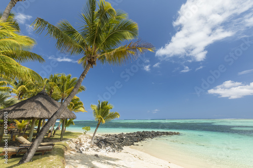 Fototapeta Naklejka Na Ścianę i Meble -  White sandy beach, coconut trees and clear blue water in Le Morne, Mauritius