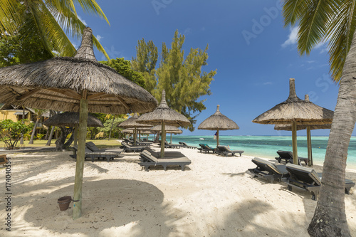 White sandy beach, coconut trees and clear blue water in Le Morne, Mauritius