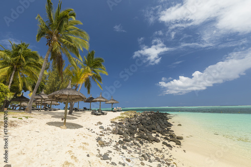 White sandy beach, coconut trees and clear blue water in Le Morne, Mauritius © bgspix