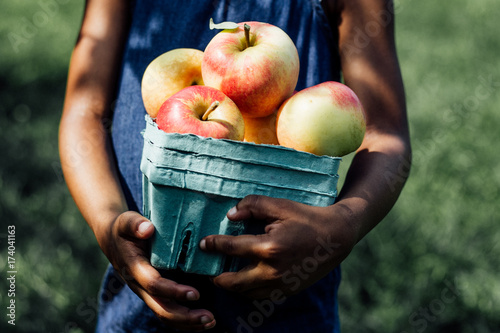 Slika na platnu Apple Picking