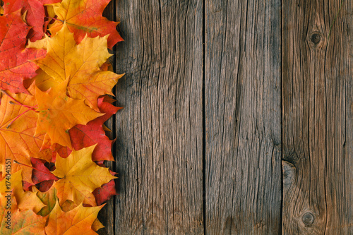 Decorative backgrounв frame from fall maple leaves
