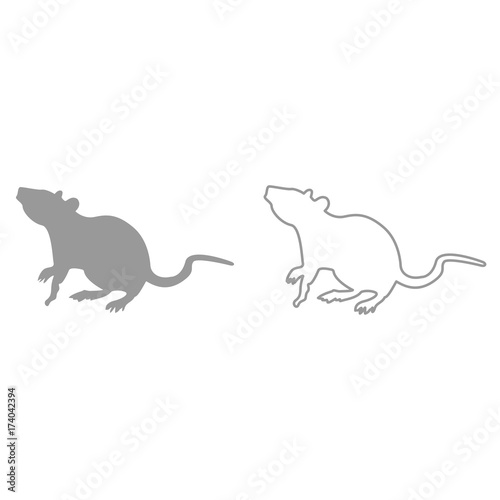 Rat it is black icon .