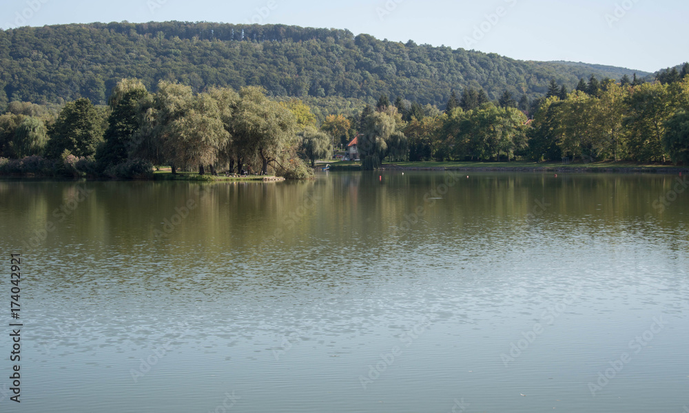 Obraz premium Lake in the forest