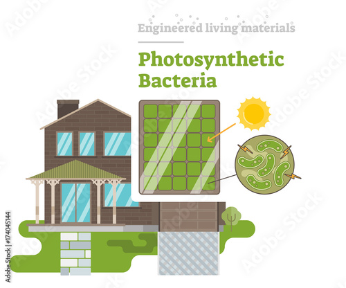 Photosynthetic Bacteria - Engineered Living Material