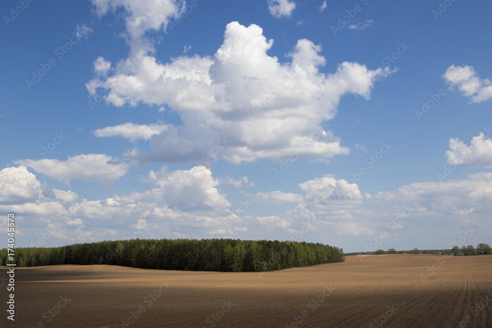 Spring field, rural landscape, Belarus