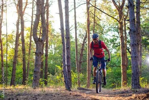 Cyclist Riding the Bike on the Trail in Beautiful Pine Forest. Adventure and Travel Concept.