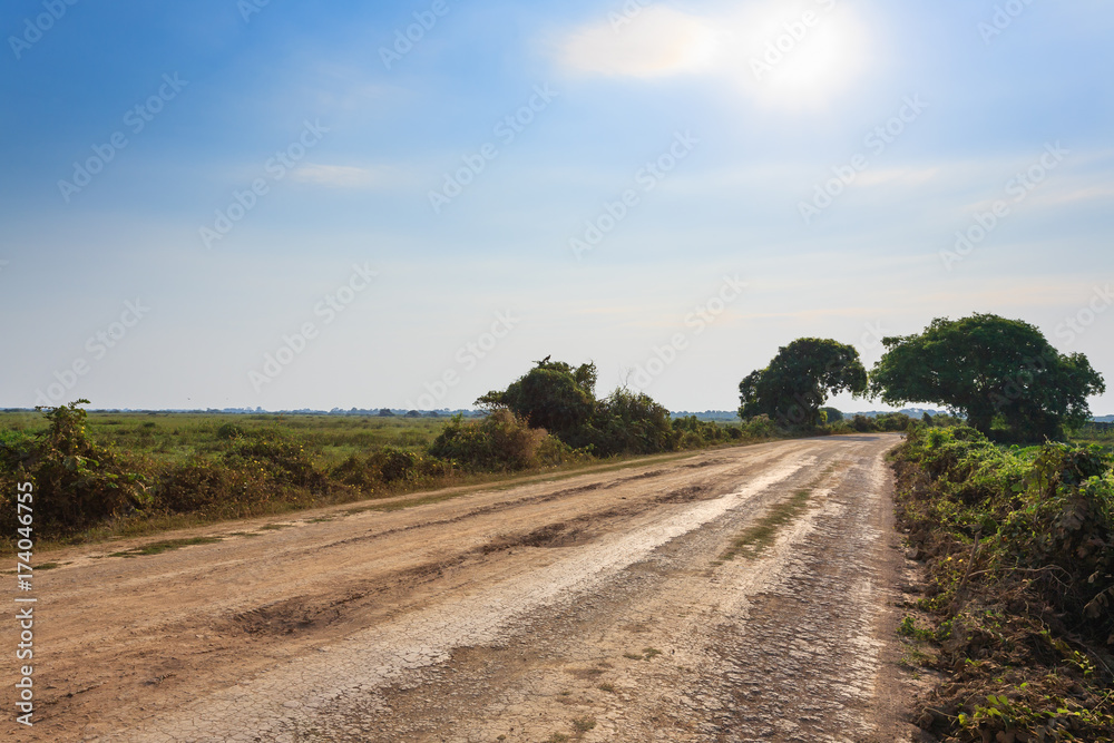 Fototapeta premium Brazilian dirt road in perspective