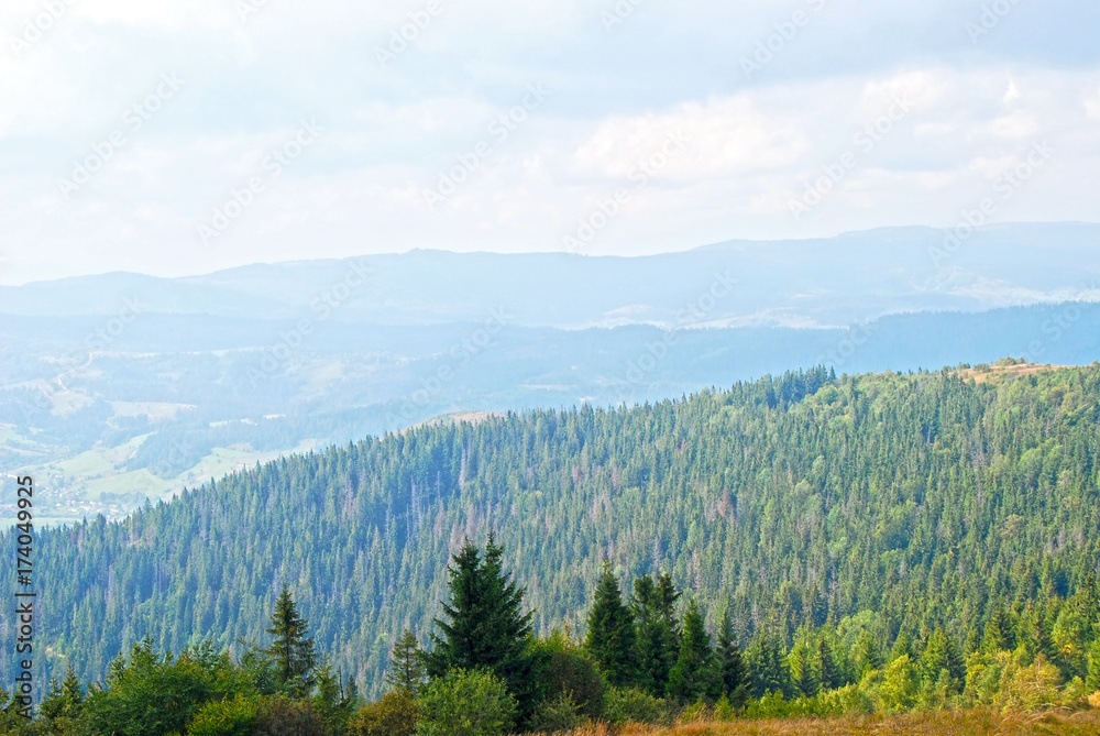 Mountain landscape in Carpathian