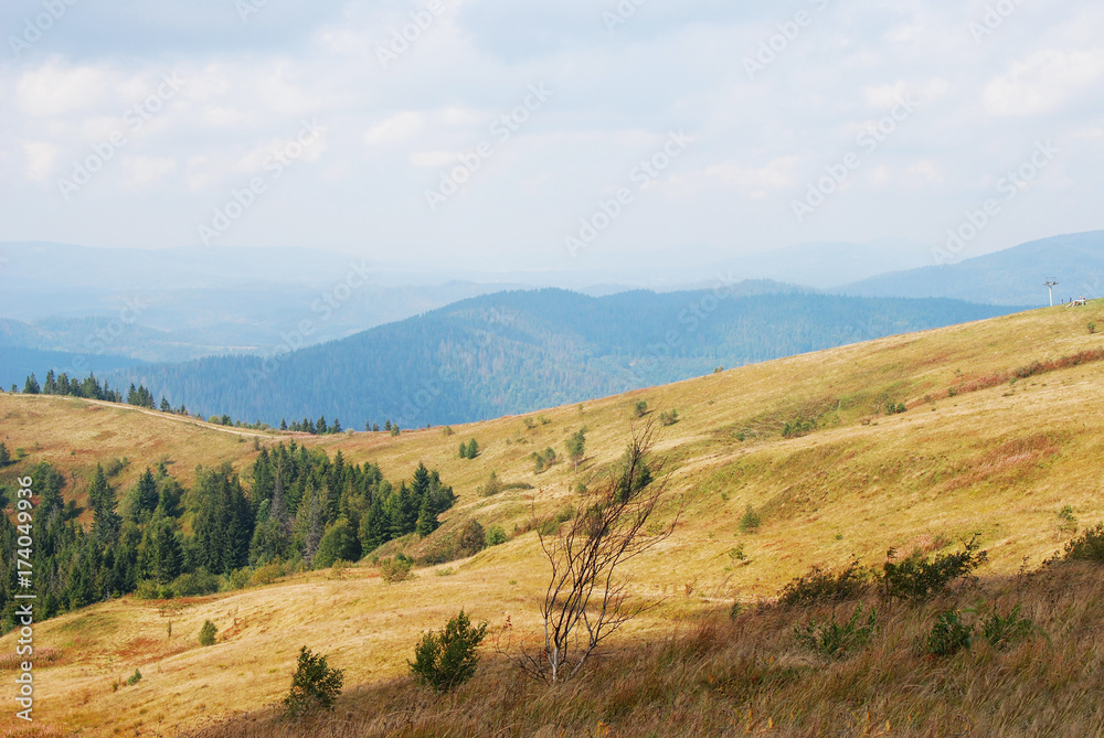 Mountain landscape in Carpathian Mountain landscape in Carpathian