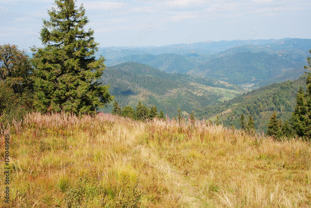 Mountain landscape in Carpathian Mountain landscape in Carpathian