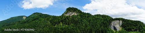 panorama of a forest covered mountain range