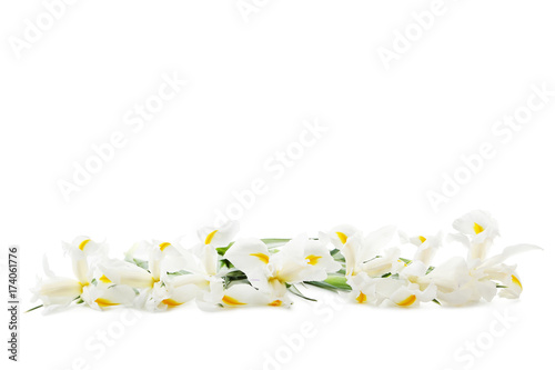 Fototapeta Naklejka Na Ścianę i Meble -  Bouquet of iris flowers isolated on a white
