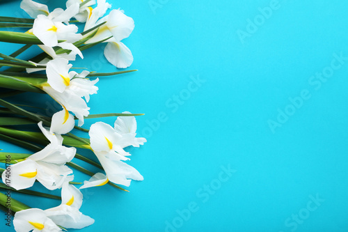 Fototapeta Naklejka Na Ścianę i Meble -  White iris flowers on blue background