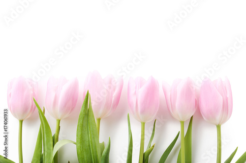 Fototapeta Naklejka Na Ścianę i Meble -  Bouquet of pink tulips isolated on a white