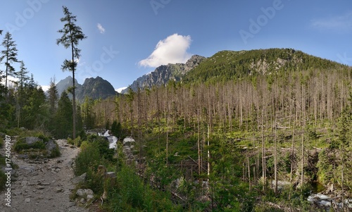 Panorama of cold valley, Hrebienok, High Tatras, Slovakia