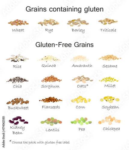 A variety of gluten free and containing gluten grains. Wheat, barley, oats, rye, buckwheat, amaranth, rice, millet, sorghum, quinoa, chia seeds, flax seeds, sesame, oatmeal, legumes. Vector isolated