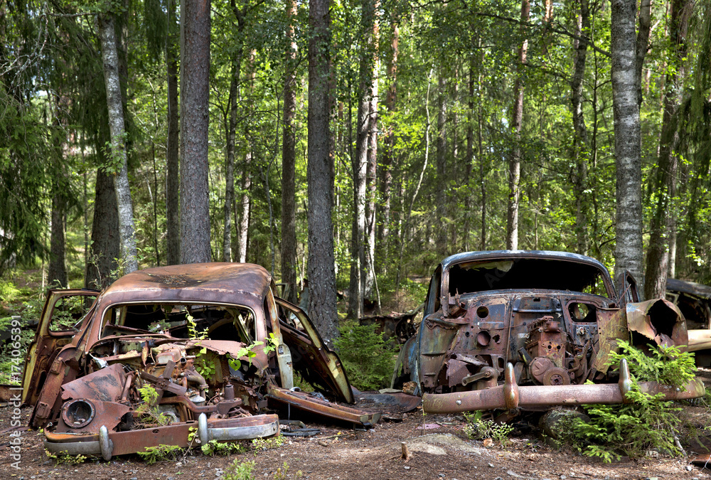 Old cars abandoned in wood Old cars abandoned in wood