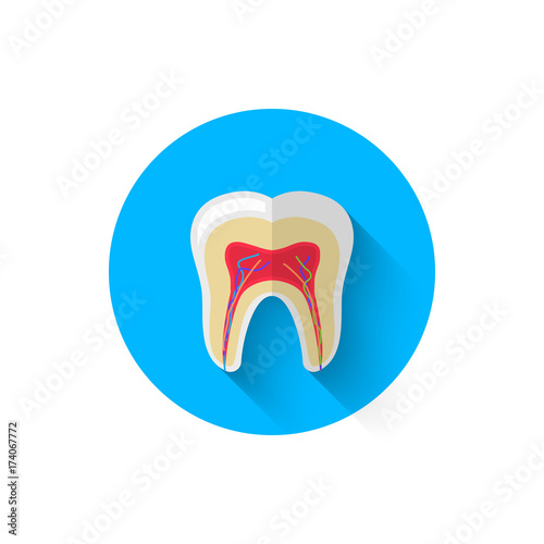 Tooth in the cut icon is isolated in a flat design style vector illustration. Modern icon on the theme of stomatology in stylish colors. Website and design for mobile apps and other projects