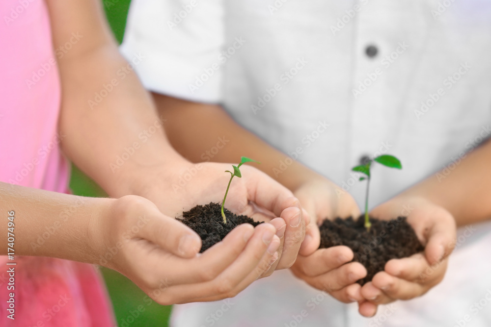 Kids holding soil and plants in hands outdoors Kids holding soil and plants in hands outdoors