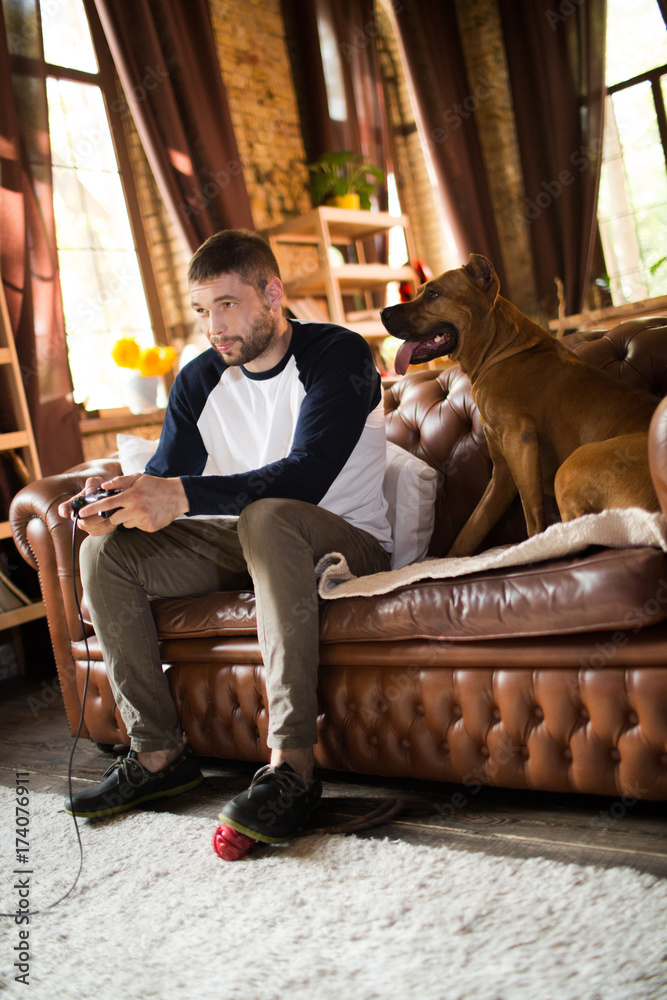 Man siiting on sofa playing video games, his dog sitting close to him.  Young male at home with his staffordshire terrier Stock Photo | Adobe Stock