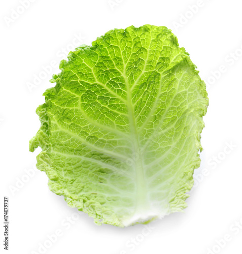 Fresh green cabbage leaf on white background