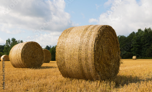 Incredible view of a round bale of straw in the meadow