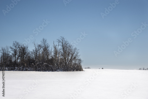Snowy field, Under a blur sky © Joseph