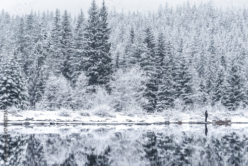 Snowy Trees, Trillium Lake