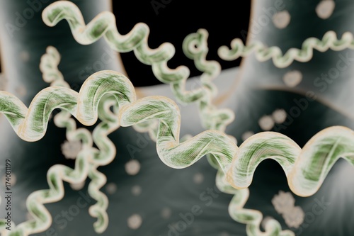 Lyme disease also known as Lyme borreliosis 3D rendering