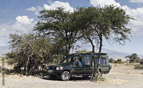 Safari Vehicle Under The Trees