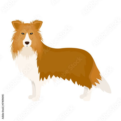 Laika single icon in cartoon style.Laika, vector symbol stock illustration web.