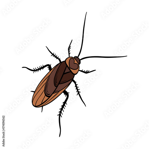 A mustachioed cockroach. Arthropod insect, cockroach single icon in cartoon style vector symbol stock isometric illustration web.