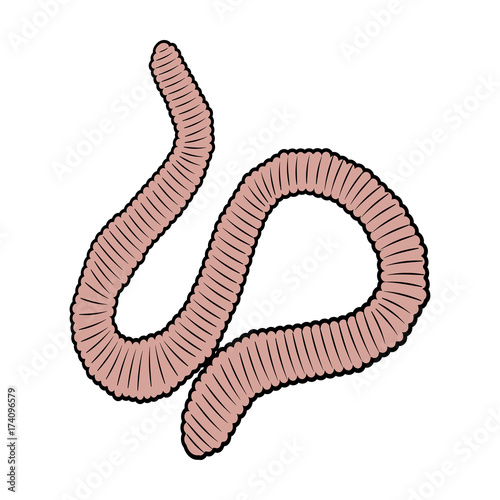 A worm, a boneless animal. Earthworm single icon in cartoon style vector symbol stock isometric illustration web.