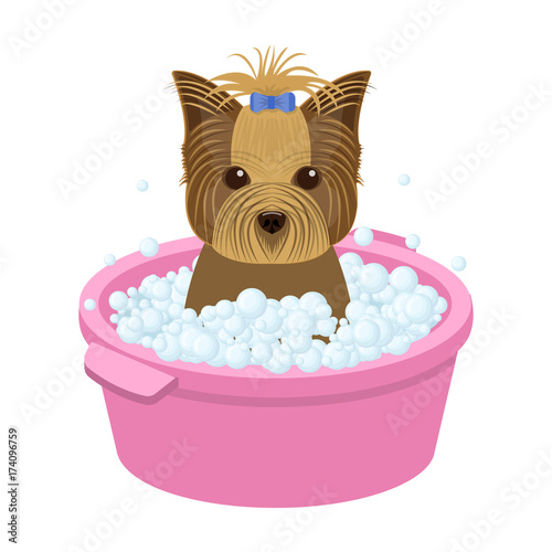Bathing pet puppy in a bowl. dog,Pet,dog care single icon in cartoon style vector symbol stock illustration web.