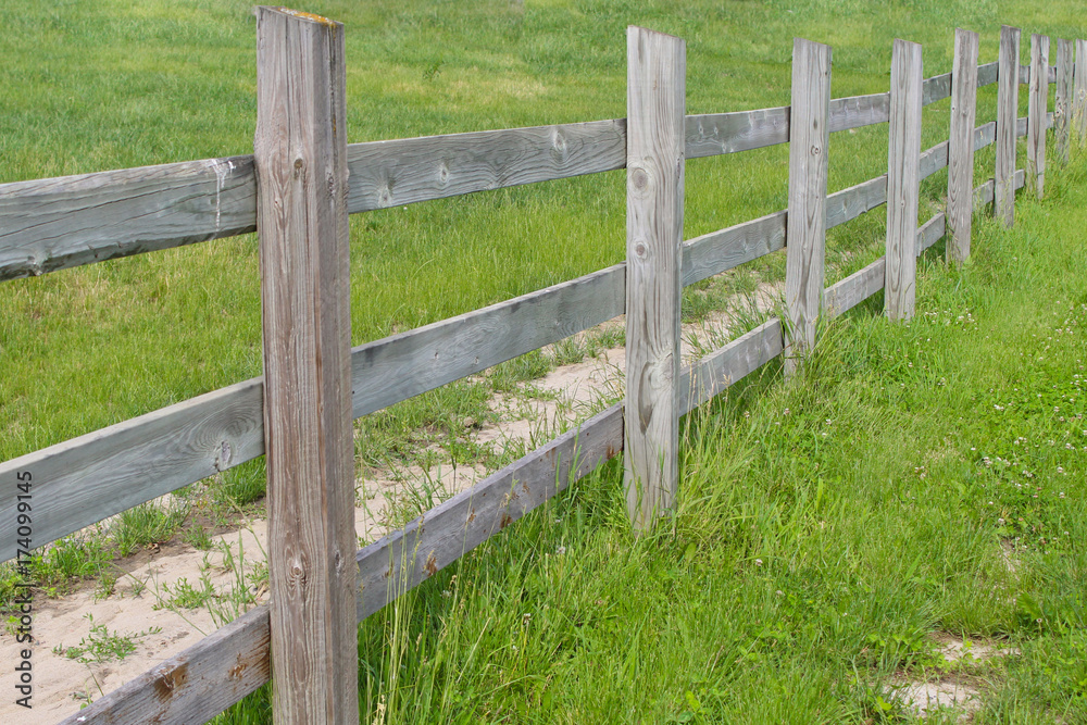 Infinite Fence with Grass Infinite Fence with Grass