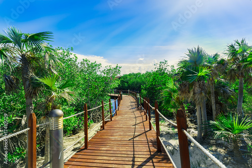 great amazing inviting view of wooden bridge in tropical garden leading to the beach and ocean ocean on blue sky background at Cayo Coco Cuban island, sunny summer beautiful day