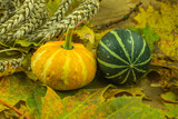 Maple leaves in autumn color and colorful pumpkins