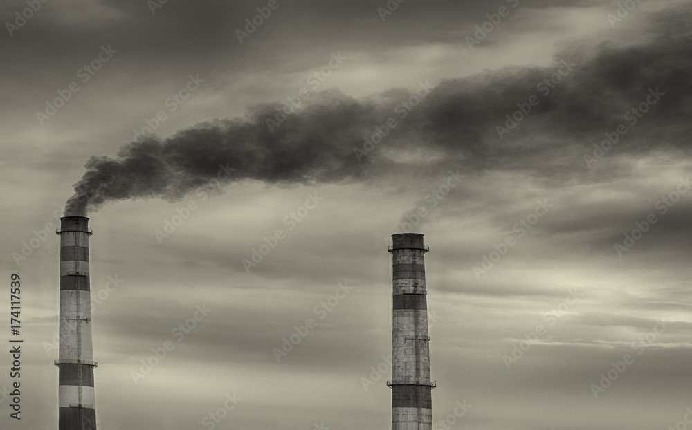 Pollution In The Bay