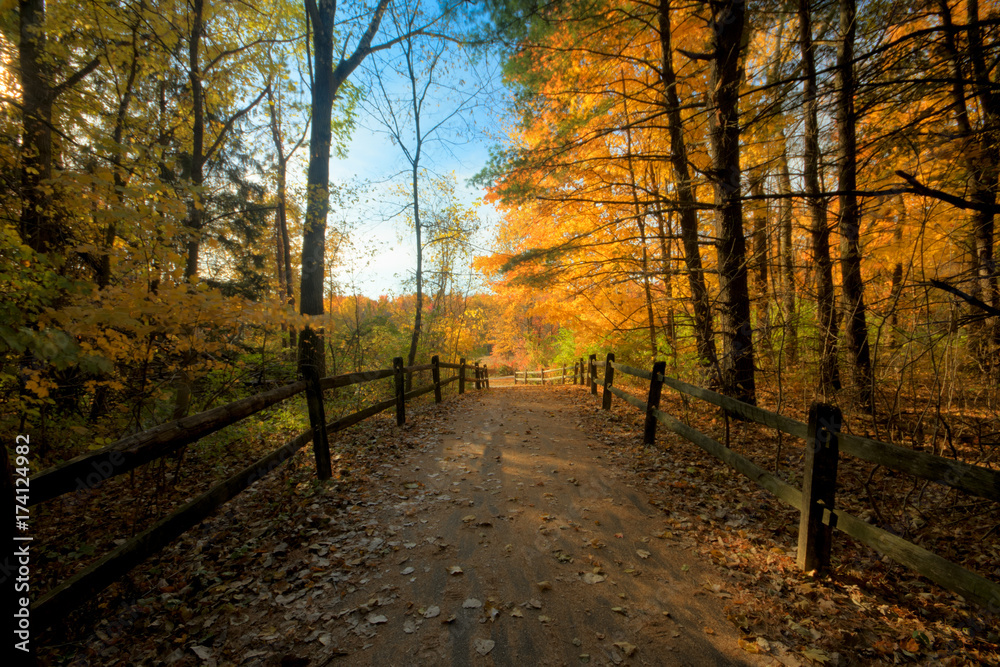 Fototapeta premium Autumn Eveing Glow