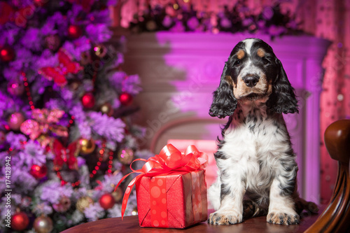 A dog with a gift in the ne...