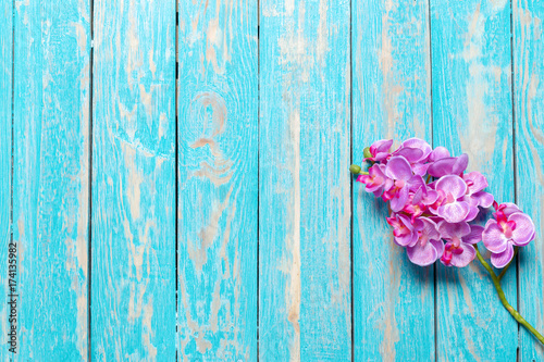 Beautiful fresh flower on wooden table  top view