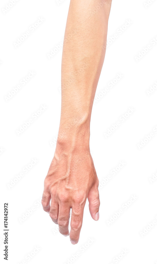 Как выглядит тыльная сторона руки Man arm with blood veins on white background, health care and medical concept фо