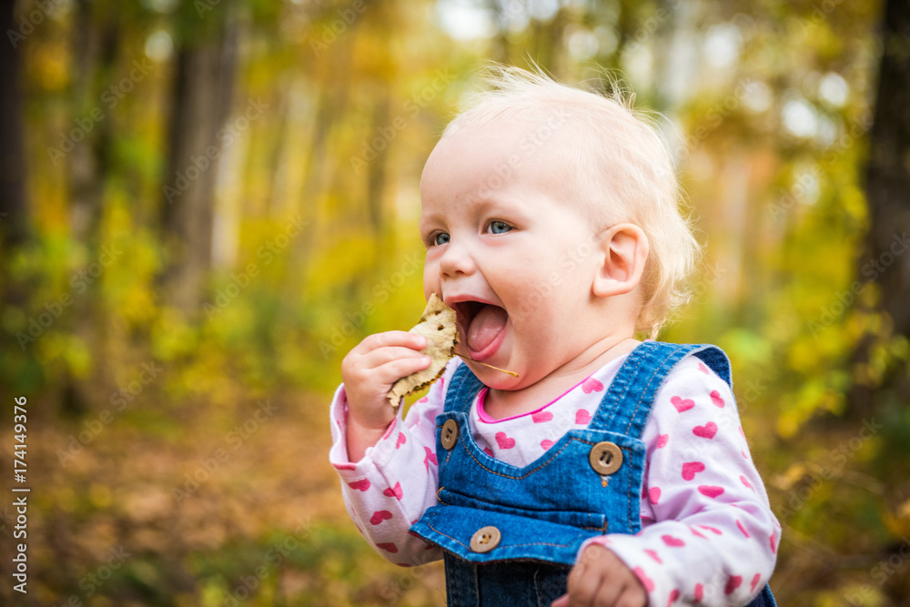 happy baby girl laughing and playing in the autumn on the forest happy baby girl laughing and playing in the autumn on the forest