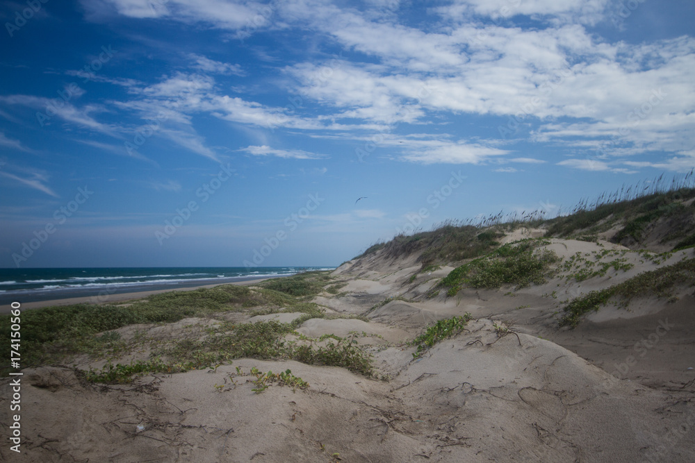 South Padre Dunes South Padre Dunes