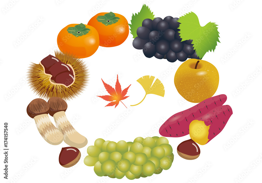 秋の果実のイラスト 背景用イラスト 栗 梨 柿 葡萄 Illustration Of Autumn Taste Stock Vector Adobe Stock