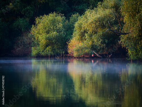 Danube Delta, Tulcea, Romania 