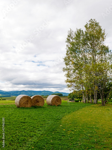  Ranch of Biei -Hokkaido