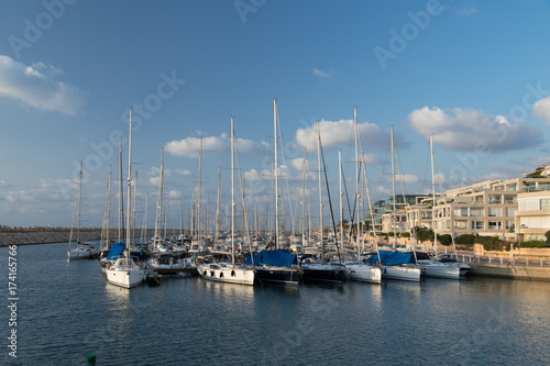 The yachts in Marina
