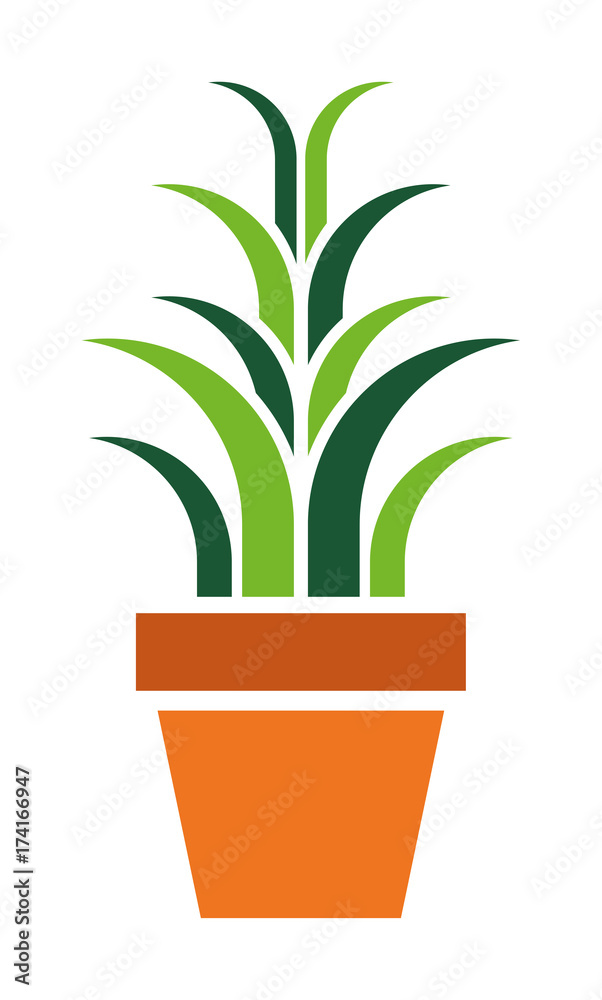 Plant vector icon