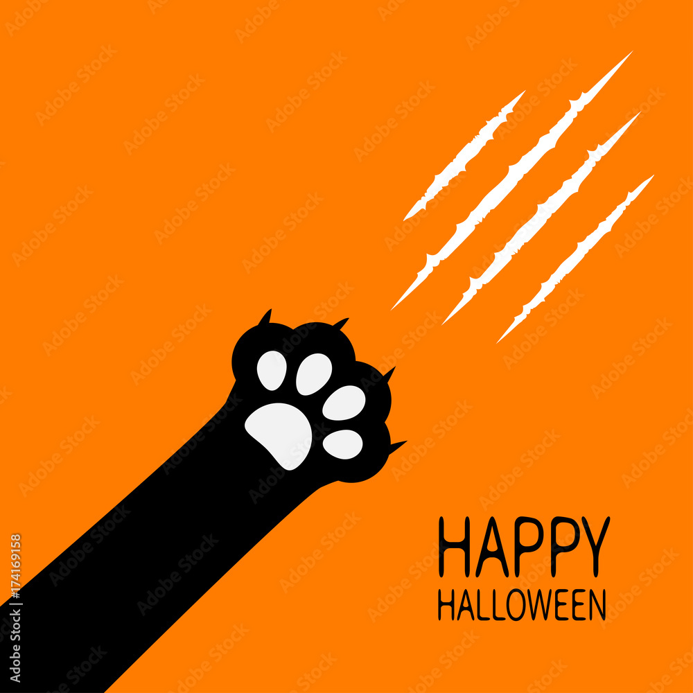 Happy halloween card with mandrake • adesivos para a parede gato